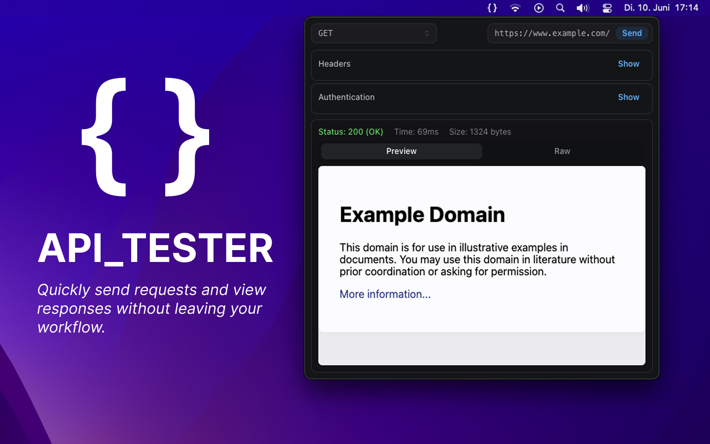 https://apps.apple.com/de/app/api-tester/id6747081748