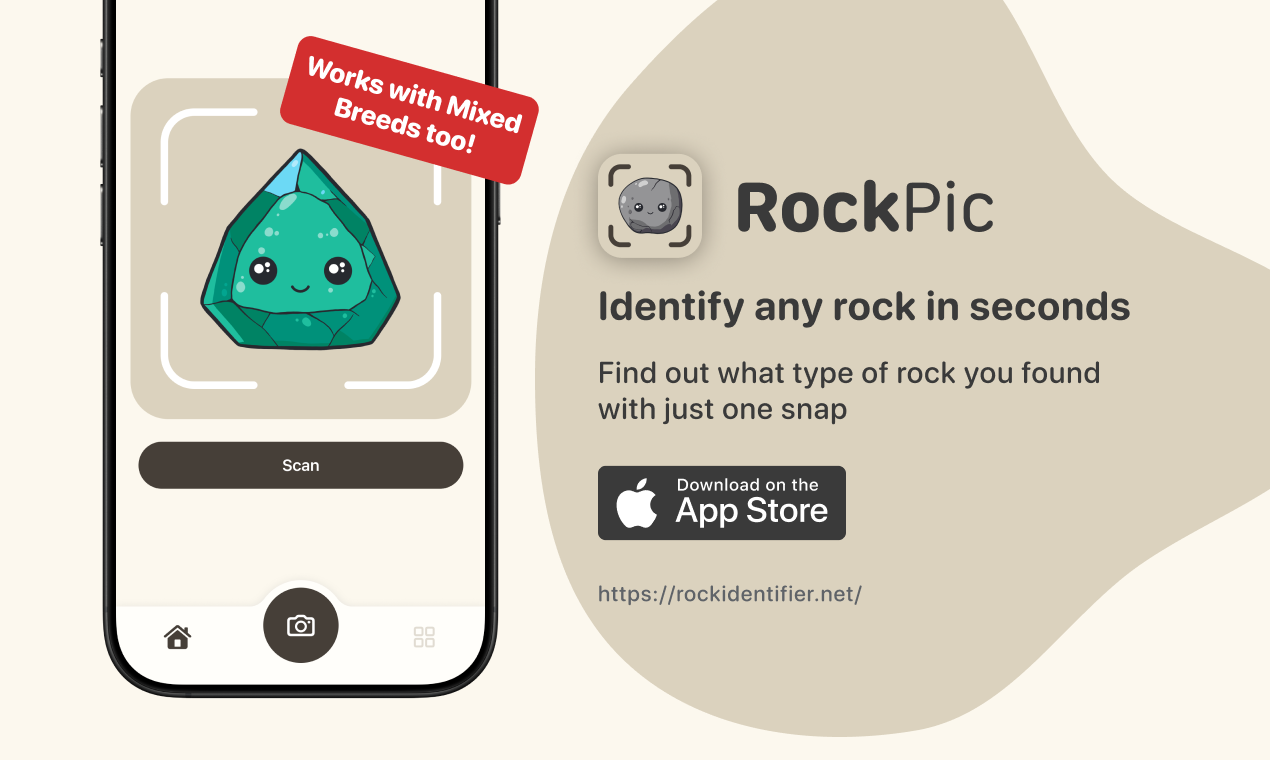 https://rockidentifier.net
