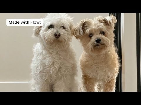 https://blog.google/technology/google-labs/flow-adds-speech-expands/