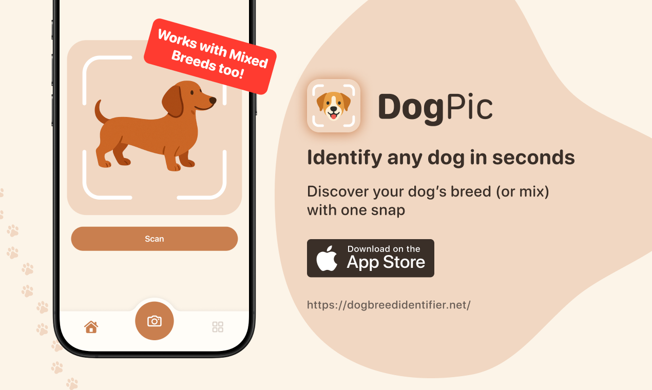 https://dogbreedidentifier.net