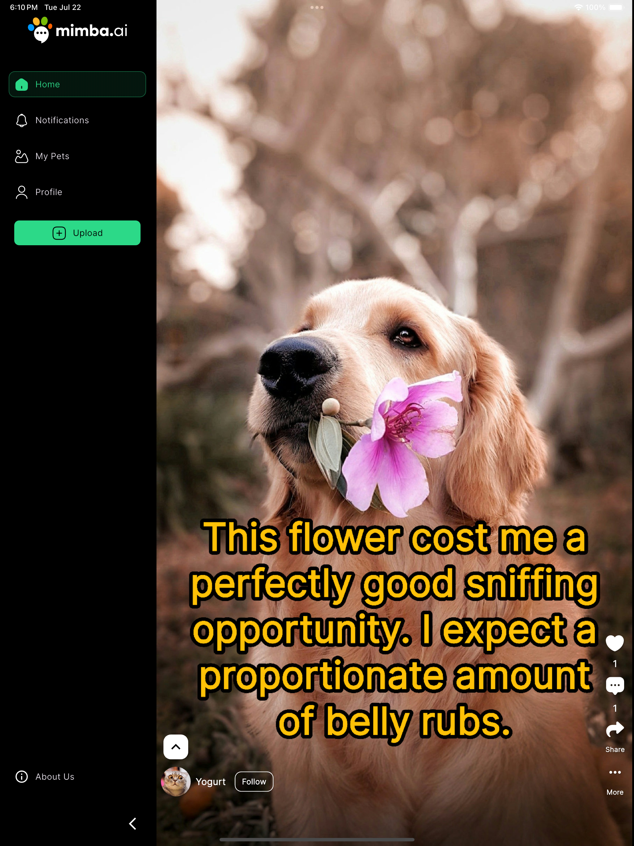 https://apps.apple.com/pt/app/mimba-ai/id6747501006