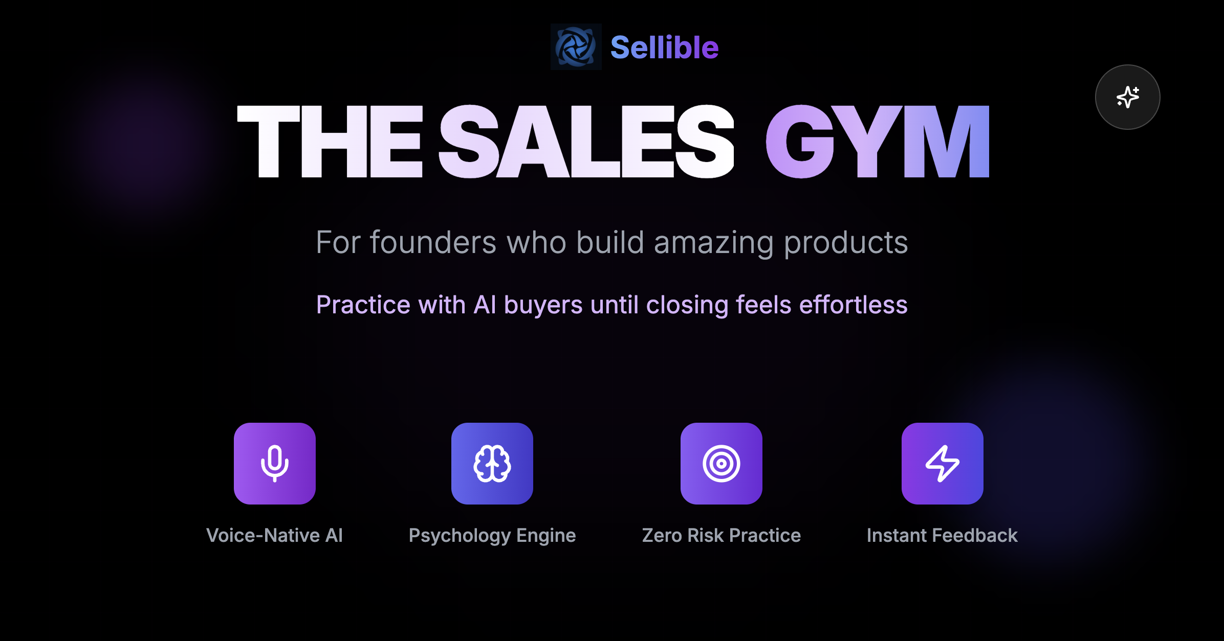 https://www.sellible.ai/for-founders/ph-launch