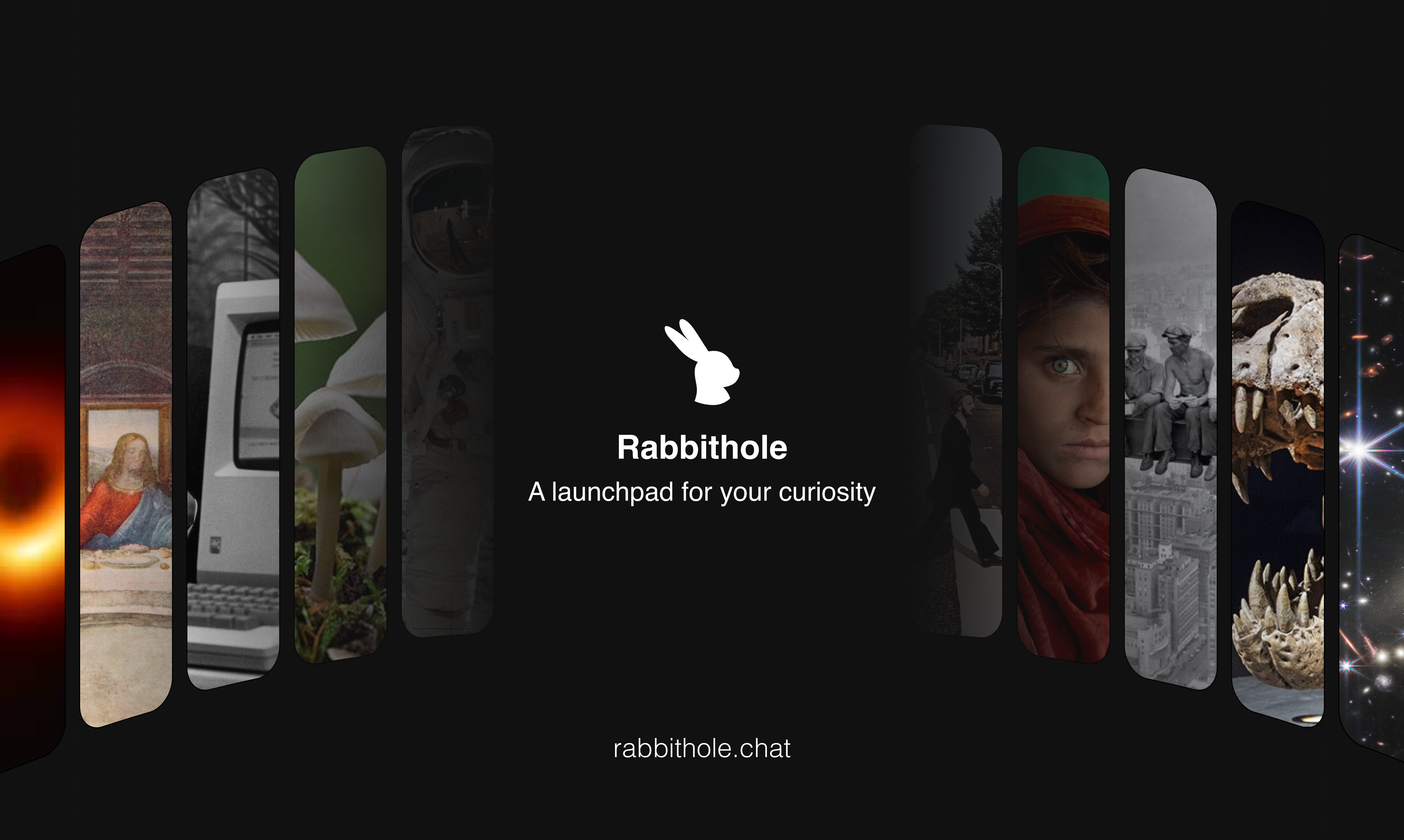 https://www.rabbithole.chat/